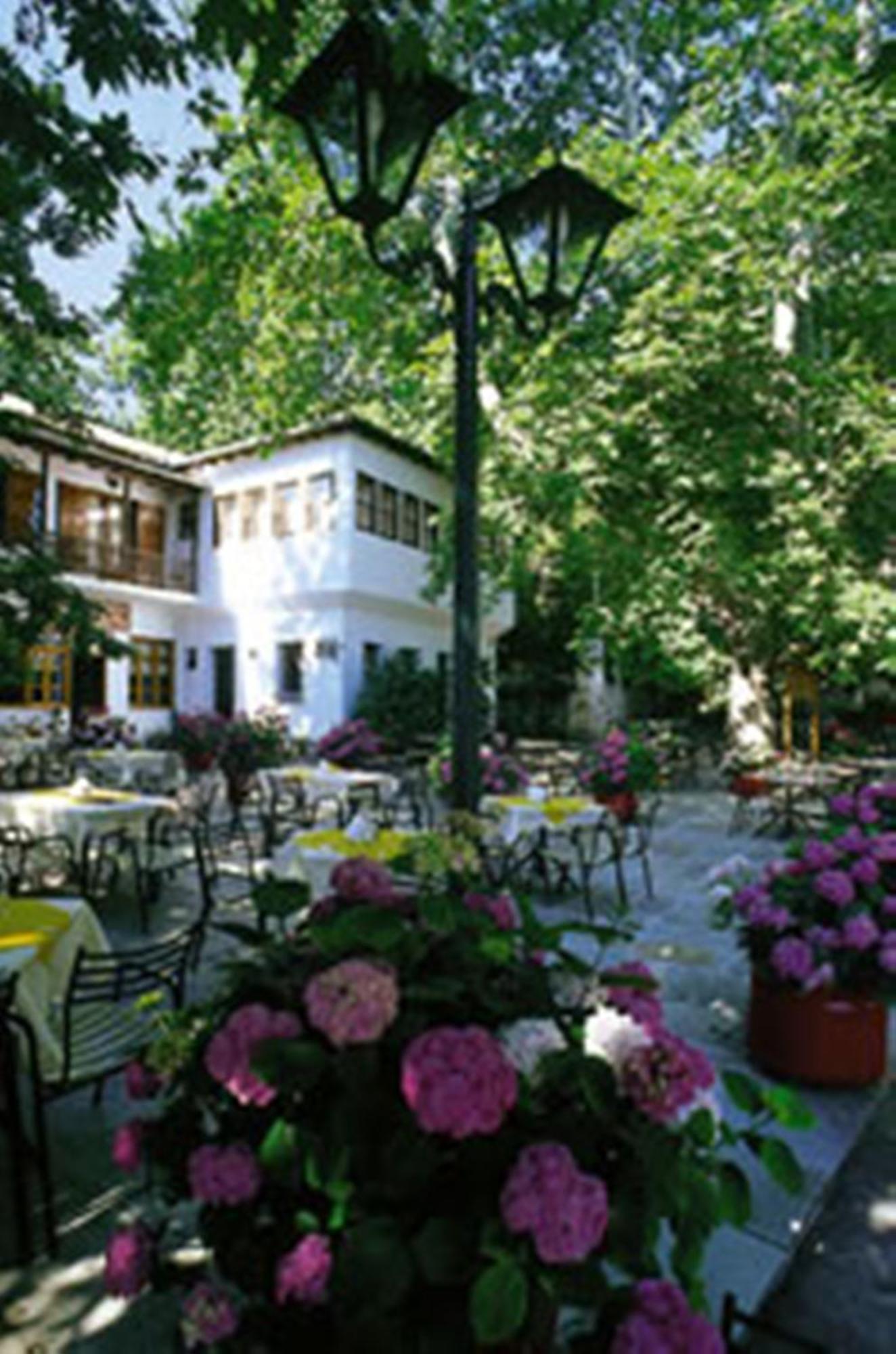 Hotel Pelion Resort ปอร์เตเรีย ภายนอก รูปภาพ